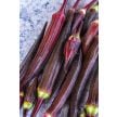 Okra Seeds, Burgundy