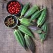 Okra Seeds, Nkruma Tenten 