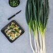 Onion Seeds, Ishikura Bunching