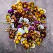 Viola Seeds, Historic Florist Mix Pansy