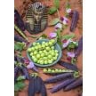 Pea Seeds, King Tut Purple