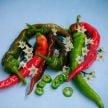 Sweet Pepper Seeds, Jimmy Nardello Italian 