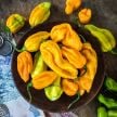 Hot Pepper Seeds, Ojeenmma