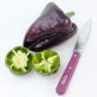 Sweet Pepper Seeds, Zulu