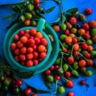 Hot Pepper Seeds, Chiltepin Wild Chile