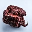 Hot Pepper Seeds, Chocolate Seven Pot 