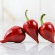 Hot Pepper Seeds, Kalugeritsa