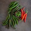 Hot Pepper Seeds, Korean Dark Green