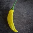 Hot Pepper Seeds, Lemon Drop 