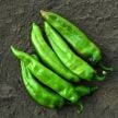 Hot Pepper Seeds, Big Jim
