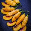 Hot Pepper Seeds, Sugar Rush Peach 