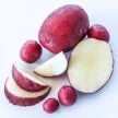 Potato Tubers, Sangre (10 Micro Tubers) 