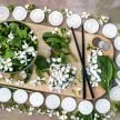 Radish Seeds, China Jade 