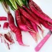 Radish Seeds, Cincinnati Market 
