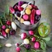 Radish Seeds, Easter Basket Mix