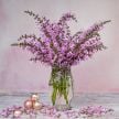 Salvia Seeds, Rose Rhapsody 