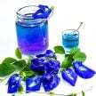 Butterfly Pea Seeds, Thai Blue 