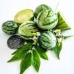 Tzimbalo Melon Pear Seeds
