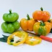 Sweet Pepper Seeds, Paradicsom Alaku 
