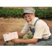 Clyde's Garden Planner