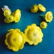 Summer Squash Seeds, Patisson Golden Marbre Scallop 