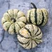 Winter Squash Seeds, Sweet Dumpling 