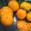 Tomato Seeds, Dad's Sunset 