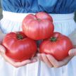 Tomato Seeds, German Pink 
