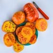 Tomato Seeds, Gold Medal 
