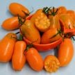 Tomato Seeds, Orange Icicle 