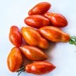 Tomato Seeds, Prairie Fire