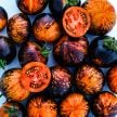 Tomato Seeds, Queen of the Night 