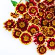 Zinnia Seeds, Aztec Burgundy Bicolor