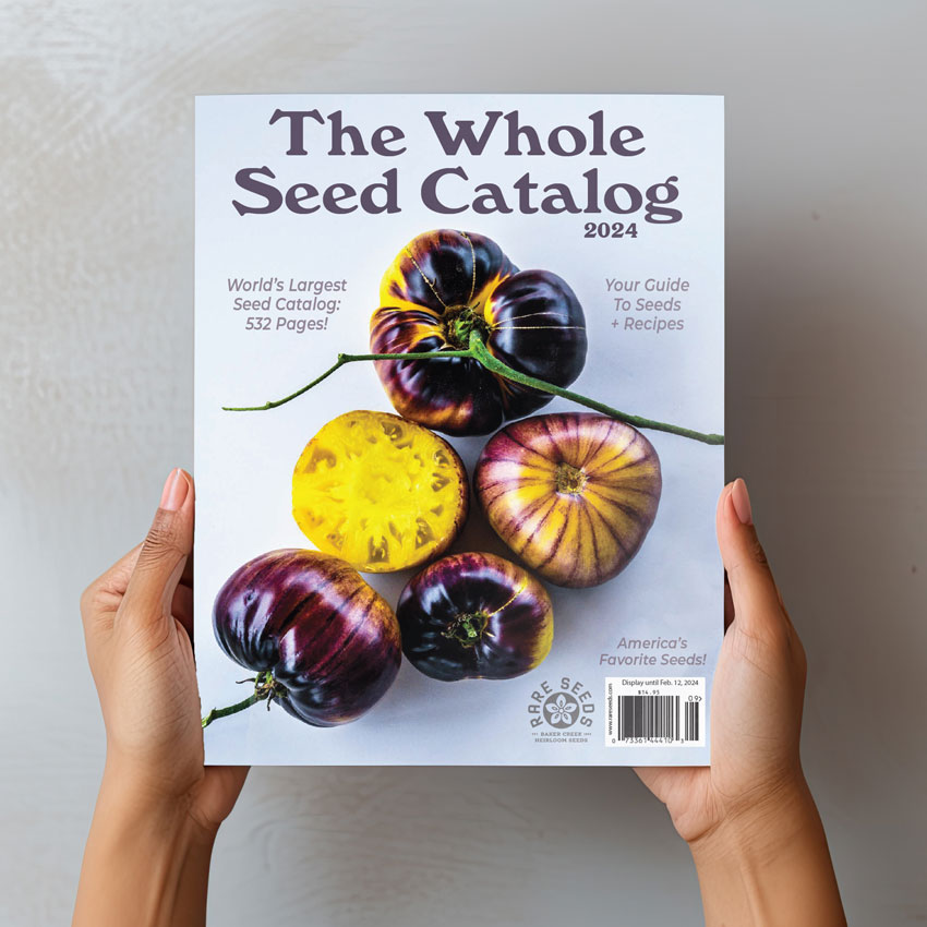 2024 The Whole Seed Catalog