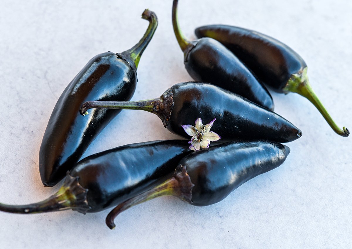 Black hungarian peppers sale