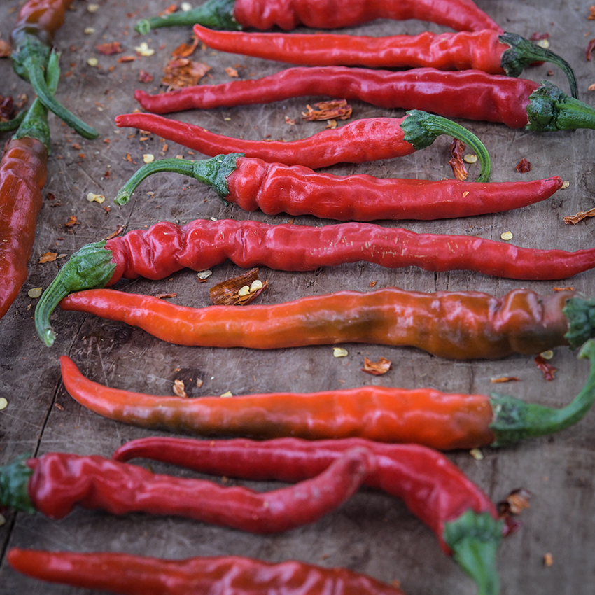 Cayenne Long Thin Pepper Seeds Baker Creek Seeds