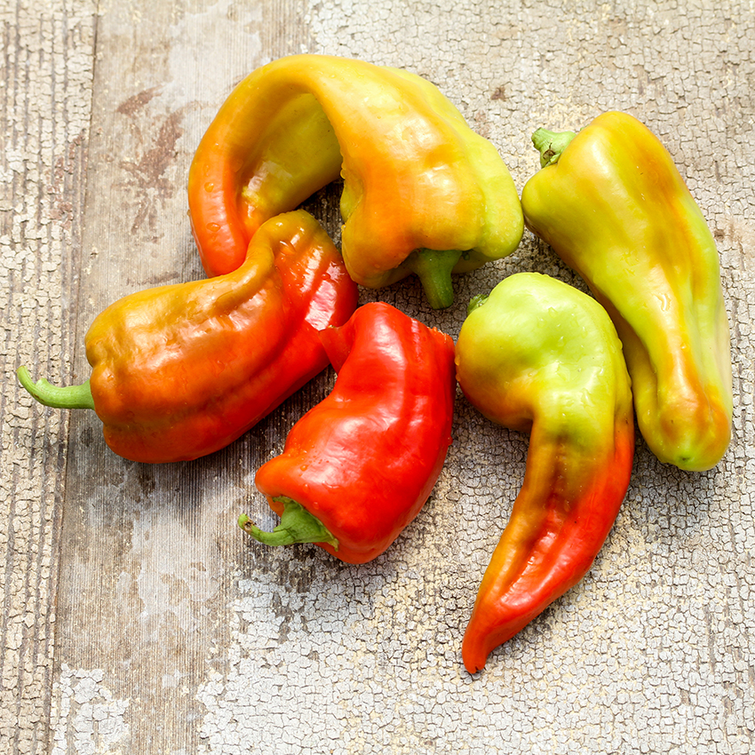 Cubanelle pepper hot sale
