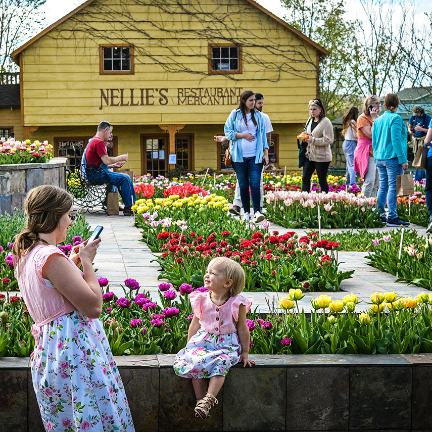Baker Creek Tulip Festival April 2024 (per vehicle)