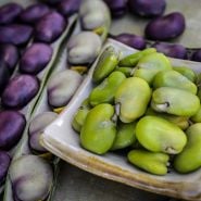 Bean Seeds, Fava 