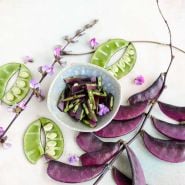 Bean Seeds, Hyacinth