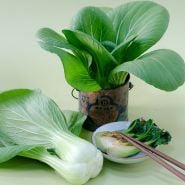 Bok Choy / Tatsoi Seeds