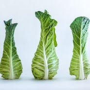 Cabbage Seeds