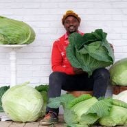 Vegetable Seeds