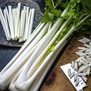 Celery Seeds