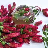 Clover Seeds