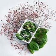 Jewels of Opar Seeds
