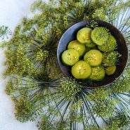 Dill Seeds