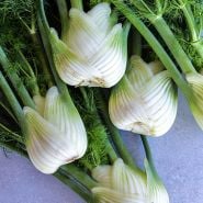 Fennel Seeds