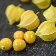 Ground Cherry Seeds