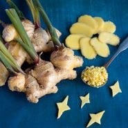 Ginger Plants